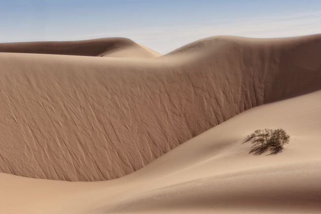 Paysage de dunes dans le désert lybien - Dunes landscape in the Libyan desert