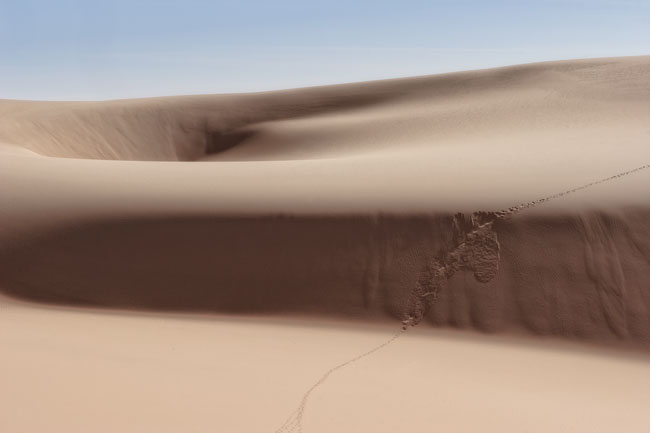 Paysage de dunes dans le désert lybien - Dunes landscape in the Libyan desert