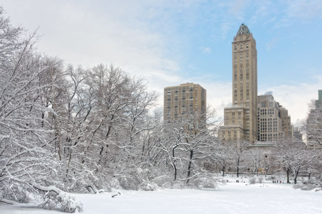 L' Étang de Central Park, New York -  The Pond in Central Park, New York