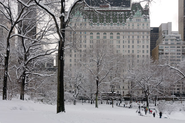 Parc Madison Square vu de la 25e rue, New York - Madison Square Park from the 25th street, New York