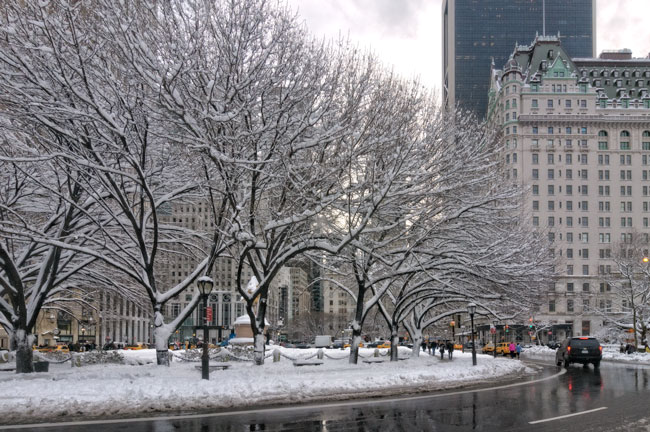 À la sortie de Central Park, hôtel Plaza, New York - On leaving Central Park, the Plaza Hotel, New York