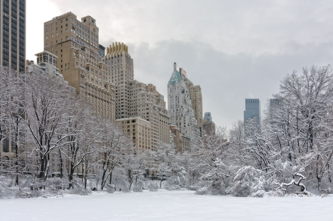 L' Étang de Central Park, New York -  The Pond in Central Park, New York