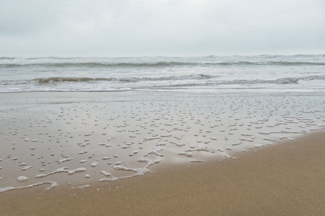 Grande Plage, île d'Oléron, taches d'écume