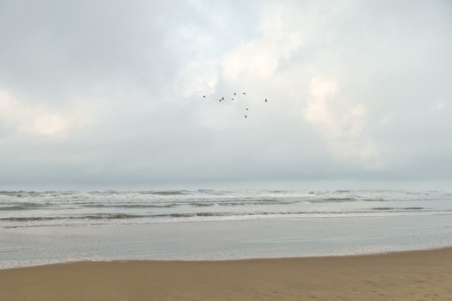 Grande Plage, île d'Oléron, une vague